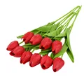 Image 13