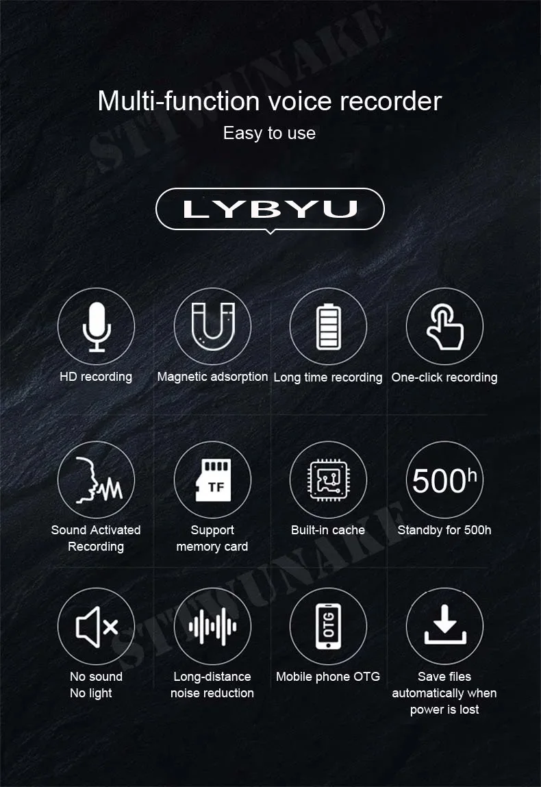 voice recorder usage example
