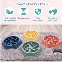 Slow Feeder Dog Bowl Non Slip Cat Dog Slower Food Feeding Dishes Large Small Medium Pet Slow Eat Dishes Puzzle Bowl Pet Supplies 3