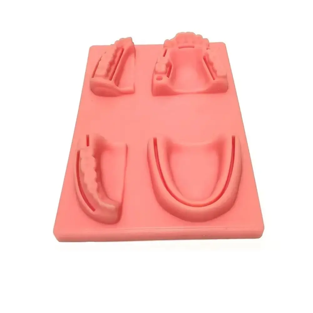 실리콘 치과 구강/잇몸 봉합 모델 봉합 연습 4가지 상처 유형 치과 교육 모델 부드러운 시뮬레이션 구강 피부 봉합 패드