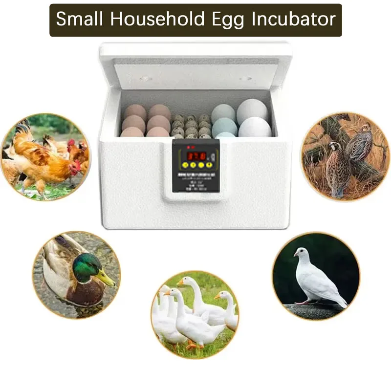 Egg Incubator USB Thermostatic Incubator Manual Turnover Poultry Bionic Waterbed All-in-One Machine