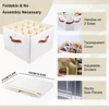 Fabric Shoe Organizer Foldable Shoe Storage Bin with Clear Lid Shoe Storage Box Adjustable Dividers for Sneakers Loafers Sandals 5