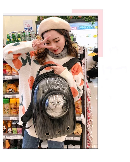 PET carrying bag Spacecraft pet backpack Large capacity cat bag Outgoing bag, portable pet backpack  Breathable pet backpack 2
