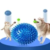 Pet Dog Toys Cat Puppy Sounding Toy Polka Squeaky Tooth Cleaning Ball TPR Training Pet Teeth Chewing Toy Thorn Balls Accessories 4