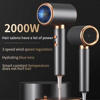 Professional Hair Dryer Hot Cold Wind Air Brush Hairdryer Negative Lonic Blow Dryer Strong PowerDryer Salon Tool 2000W 5th Gear