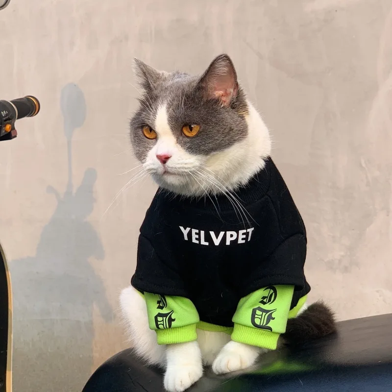 Spring Pet Clothes - PeticaDeals