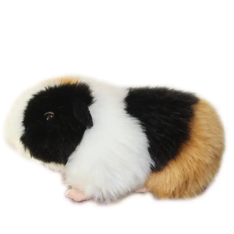 Poupée cochon d'inde à collectionner, jouet en peluche réaliste, Simulation  d'animal mignon, 18cm, 1 pièce, KYY1083 - AliExpress