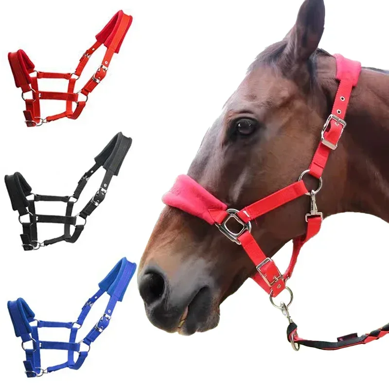 1Pc Soft Padded Pony Horse Halter Bridle Headstall Head Collar Horse Riding Accessories Ergonomic Comfortable Unfettered Halters 3