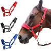 1Pc Soft Padded Pony Horse Halter Bridle Headstall Head Collar Horse Riding Accessories Ergonomic Comfortable Unfettered Halters 3