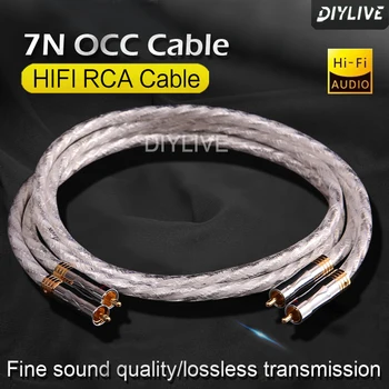 우니재의 알리알리 알리숑 - 14689 - 2025년 12월 31일 2