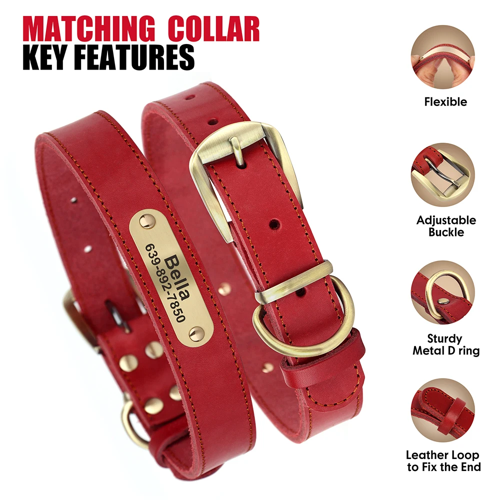 Red Collar
