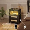 Stand Set 2 with Gun Drawer, with Charging Station, LED with Human Sensor Light, Nightstands 5