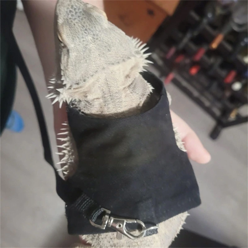 Adjust Bearded Dragon Harness with Short Leash Comfortable Reptiles Walking Gear Harness for Outdoor Activity 2 Set