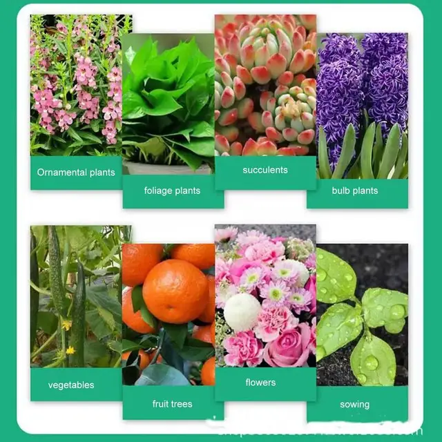 Gyökér Stimulátor Növényekhez 50 Ml Tápláló Növényi Növekedés Fokozó Kiegészítő Koncentrált Tápanyag -Oldat - Image 2