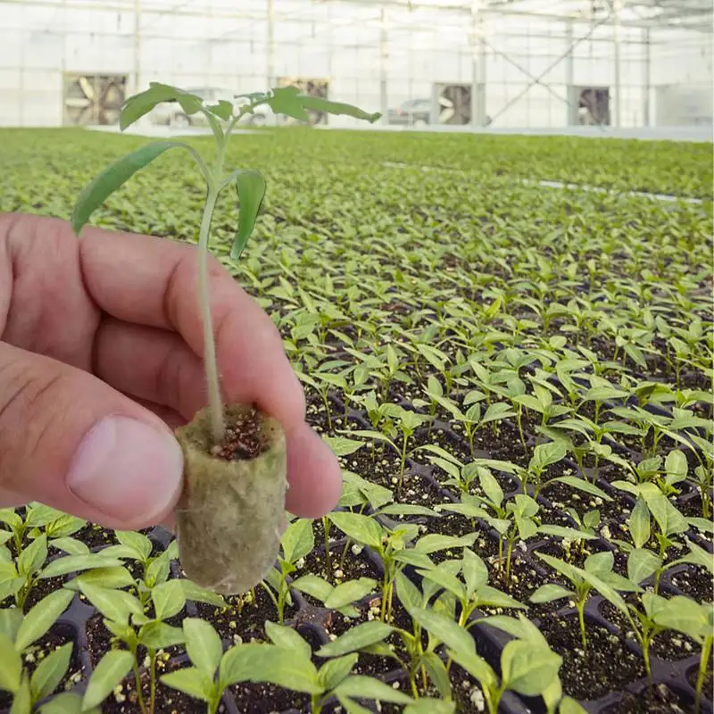 50pcs Starter Plugs Cubes Growing Medium Starter For Cuttings Cloning Plant Propagation And Seed Starting