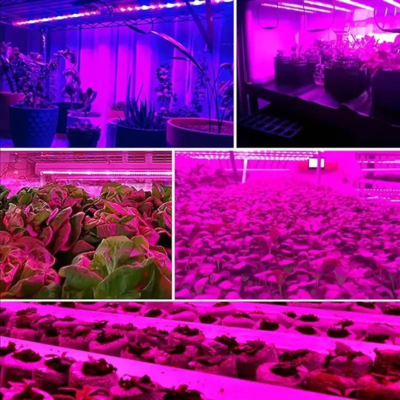 LED Grow Light USB Power Supply for Plants Flowers and Vegetables