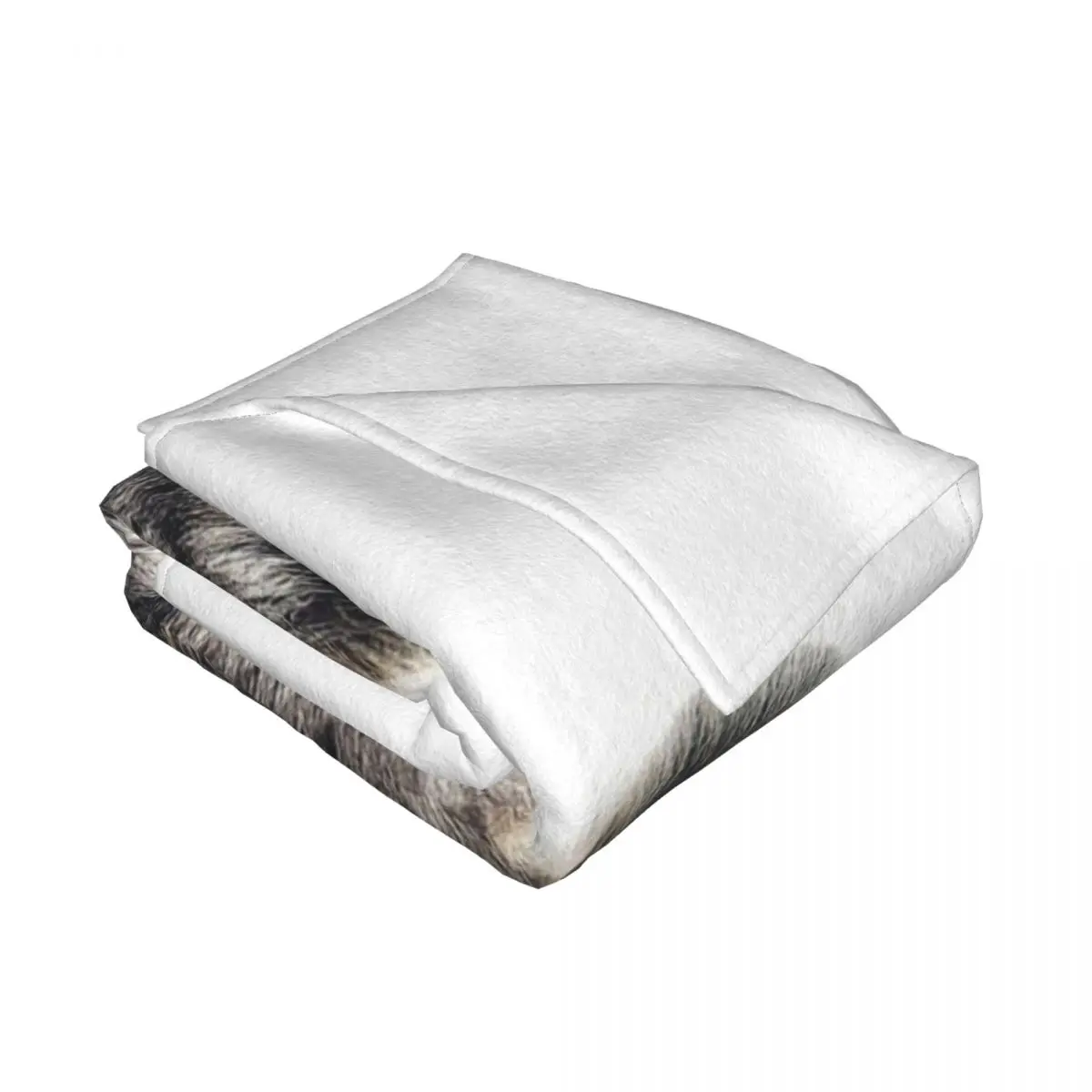  �ʱ��� �ʻ�ȭ ������ ���, ���� ���, ���� ���