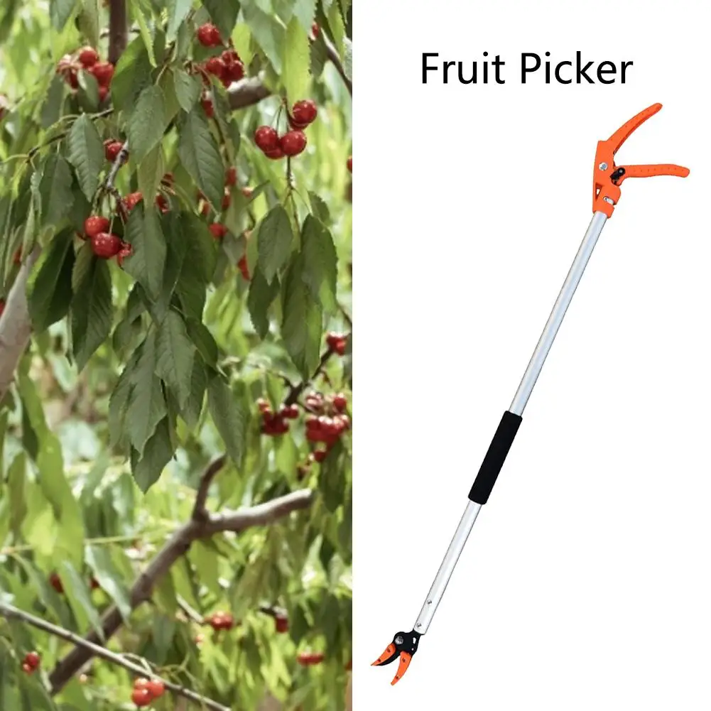 hot sale 1M Fruit Picker Extra Long Fruit Picking Shears Pruning And Hold Bypass Pruner Max Cutting Grape Persimmon Picker