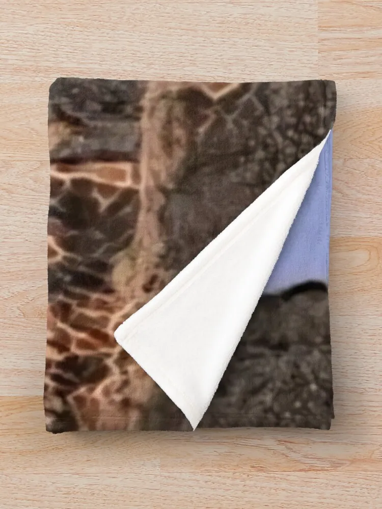 �� ���� ��� ���� ���, ���� ������ ���