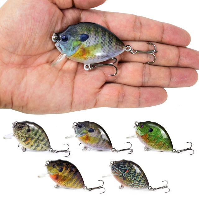 Lixada 5pcs Fishing Lures 6cm 15g Mini Wobbler Fishing Lure Artificial Hard  Bait Crankbait with Tackle Box for Fish Bass - AliExpress