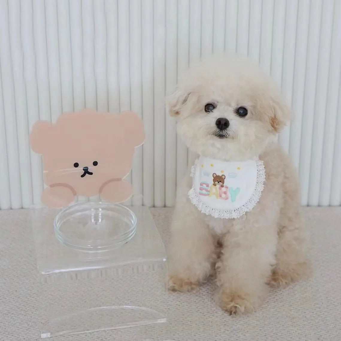 

Acrylic Dog Bowl Cat Tableware Cute Pet Head Listing Transparent Eating Bowl Rack Pet Cat Bowl Feeder