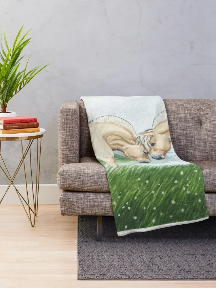 �븣���̾� �� �ǿ丣�� ǳ�� ������ ���, ���� �ٸ��� �̺� ���