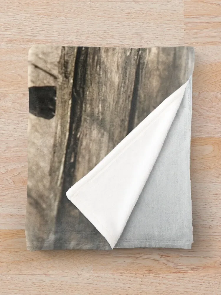 ����ġ �ҵ� �ʻ�ȭ ������ ���, ���� ������ �ܿ� �̺� ���