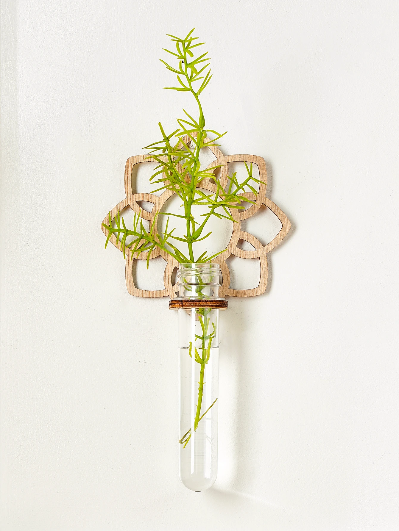 1PC Indoor Plant Wall Mounted, Wall Mounted Plastic Test Tube with Wooden Rack for Unique Gardening Plant Lovers
