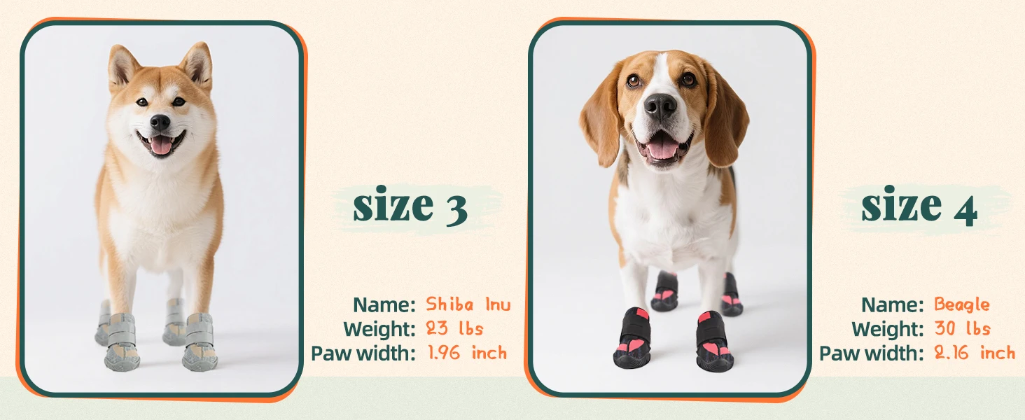 dog winter boots