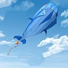 2.2 Meter 3D Giant Dolphin Whale Shape Flying Kite Parafoil Sports Software Paragliding Beach Kite Outdoor Toys For Adult Kids 3