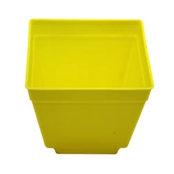 Set of 6 Colorful Mini Square Succulent Plant Pots with Trays (Yellow)