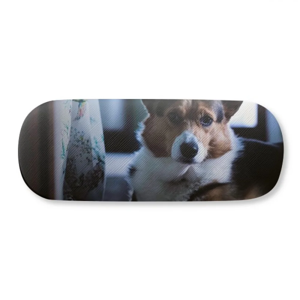 

Corgi Dog Pet Animal Lonely Picture Glasses Case Eyeglasses Hard Shell Storage Spectacle Box