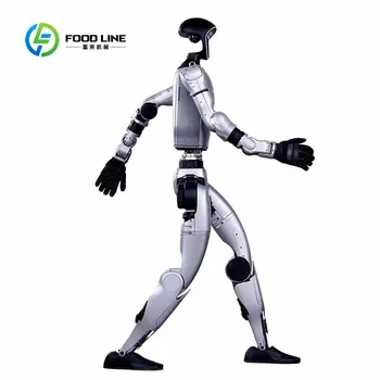 Robot Umanoide Personalizzabile Multiuso con Programmi Personalizzabili per Intrattenimento Sportivo e Uso Industriale