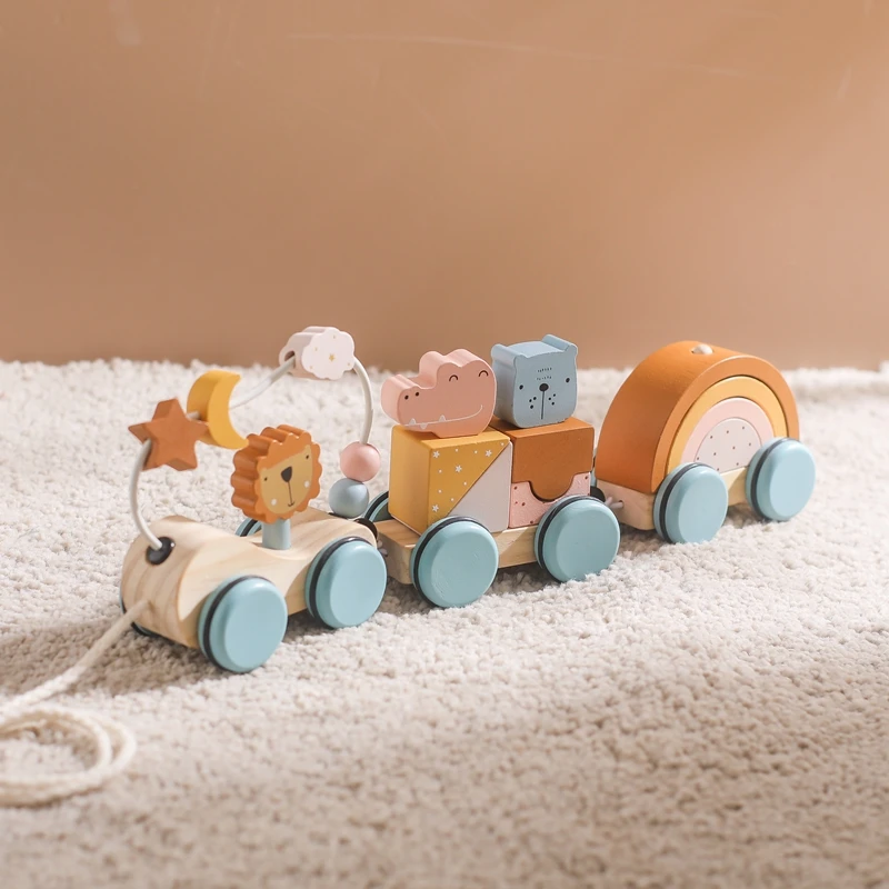 

Children Montessori Toy Wooden Train Baby Educational Toy Wooden Rainbow Blocks Trolley Baby Learning Toy Baby Birthday Gift