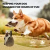 All For Paws Hedgehog Dog Toy Squeaker Faux Fur Animal Dog Toys Realistic Wildlife Appearance Stimulates Dog Accessories 4