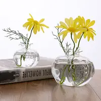 Red Pomegranate Shape Flower Vase Transparent Glass Vase For Flowers Hydroponic Cachepot Creative Home Decoration 2Sizes - Image 4