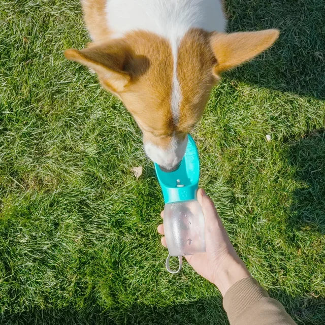 Portable Pet Dog Water Bottle Hiking Outdoor Leakproof Puppy Drinking Bowls for Small Medium Large Dogs Cats Chihuahua Supplies 5
