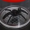 Magnifying Glass Cup Magnifying Glass Box Insect with Toy, Gift 5