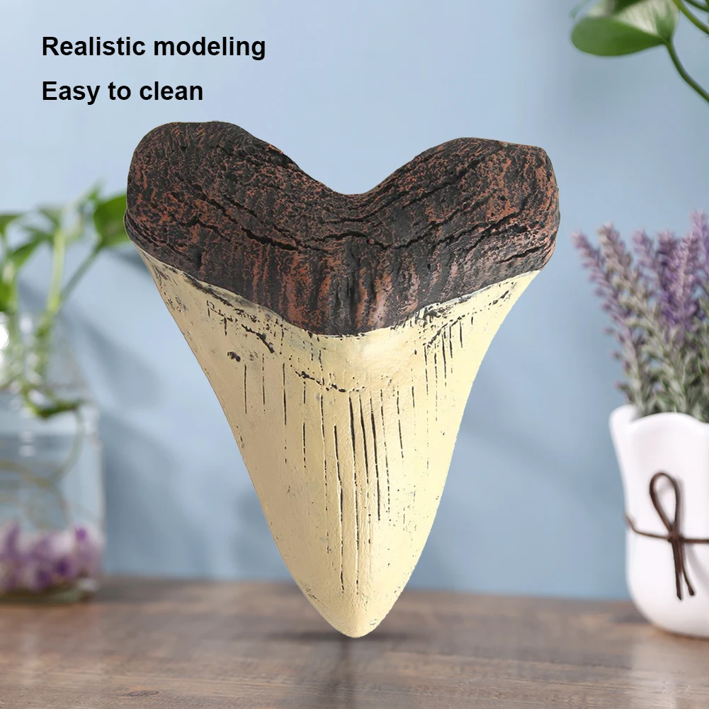 Home Decoration Resin Shark Teeth 5inch Giant Megalodon Tooth Marine Bology Teaching Props Beige Shark Teeth Fossil Best Gifts 5