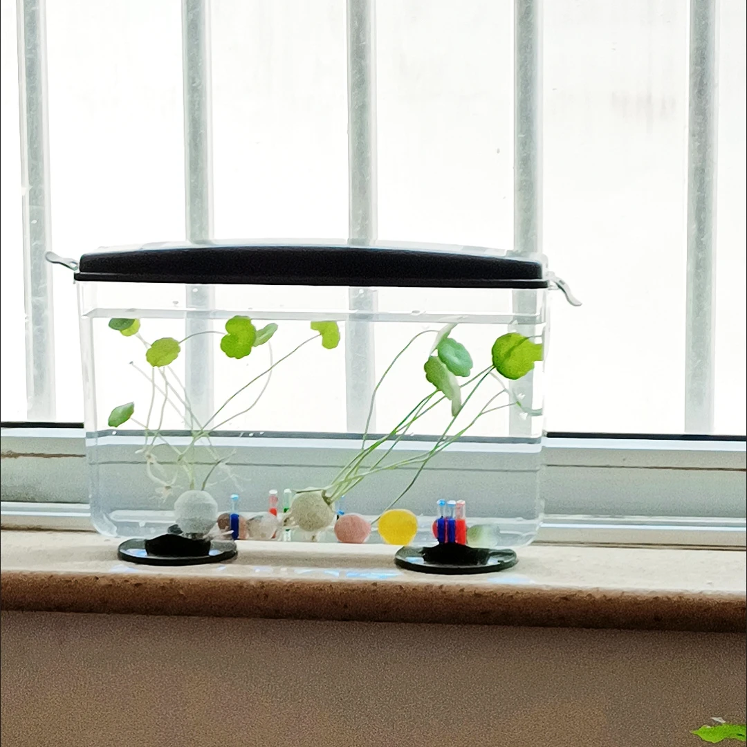 PET Aquariums Shrimp Cover Small Fish Shrimps Turtle Tank Insect Specialized Container Mini Portable Ecosystem Watertank
