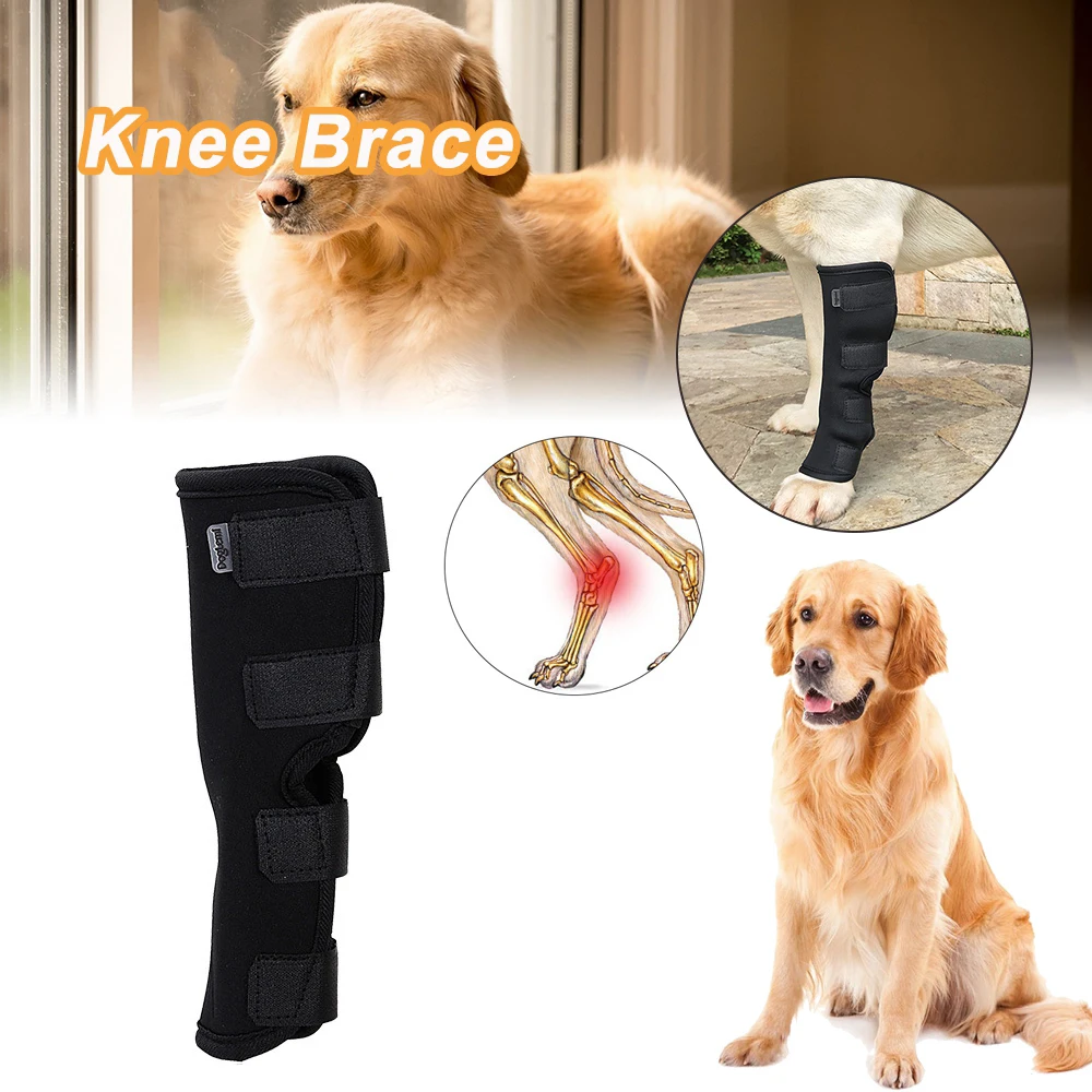 Tutore Per Zampa Posteriore Cane – Regolabile, In SBR, Per Lesioni E Recupero, Supporto Articolazione Ginocchio Nero