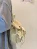 Miyagawa Girls' 2023 New Handbag Mini Handheld Small Nylon Cloth Shoulder Bag Cute and Versatile Crossbody Bags 3