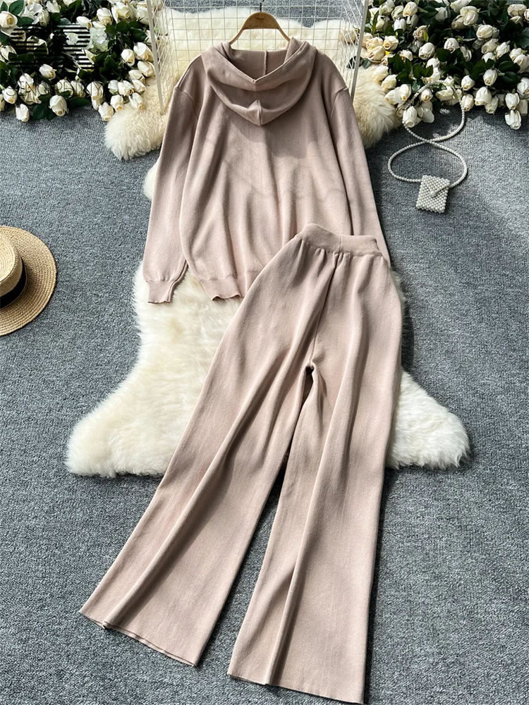SINGREINY Lazy Casual Knit Two Pieces Set Women Autumn Winter Long Sleeve 3D Texture Printed Hoodies+Drawstring Pants 2pcs Suits 4