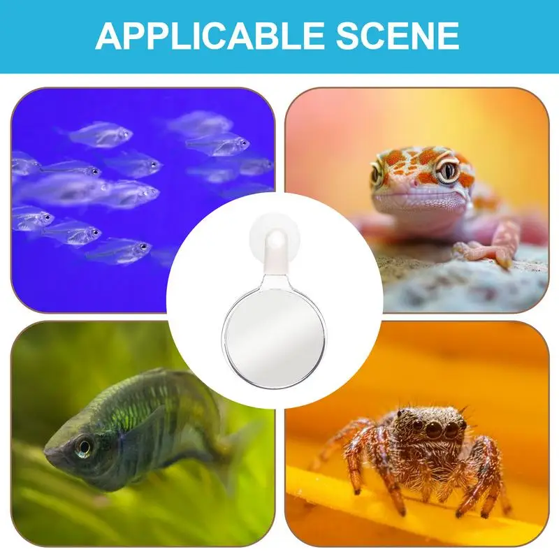 Aquarium Magnifying Glass Acrylic Suction Cup Viewer Small Animal Plant Observation For Viewing Coral Fish Tank Accessories