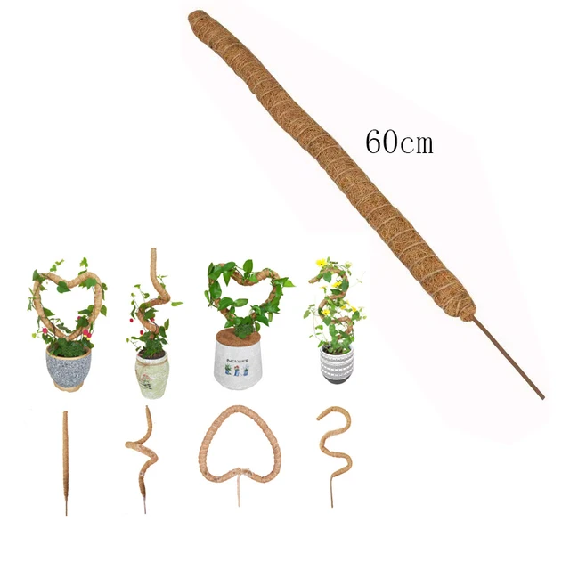 60cm Deformable