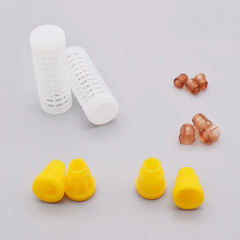 Germany Jenter Queen Rearing Kit Nicot Bee Incubator Queen Rearing Box Cage Bee Breeding Box Beekeeping Tools Equipment