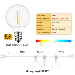 Enchanting White LED Fairy String Lights - 30M Outdoor & Indoor Decorative Lighting (100Ft (30M))