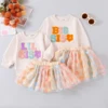 Kids Girls Sister Family Matching Outfits Skirt Set Long Sleeve Embroidery Letters Sweatshirt with Flower Tulle Skirt 2 piece 1