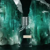 Parfum Oriental Boisé Unisexe 50ml, Eau de Parfum Longue Durée, Ambre Chaud, Musc Doux, Terreux, Élégant, Parfum Profond et Captivant 2