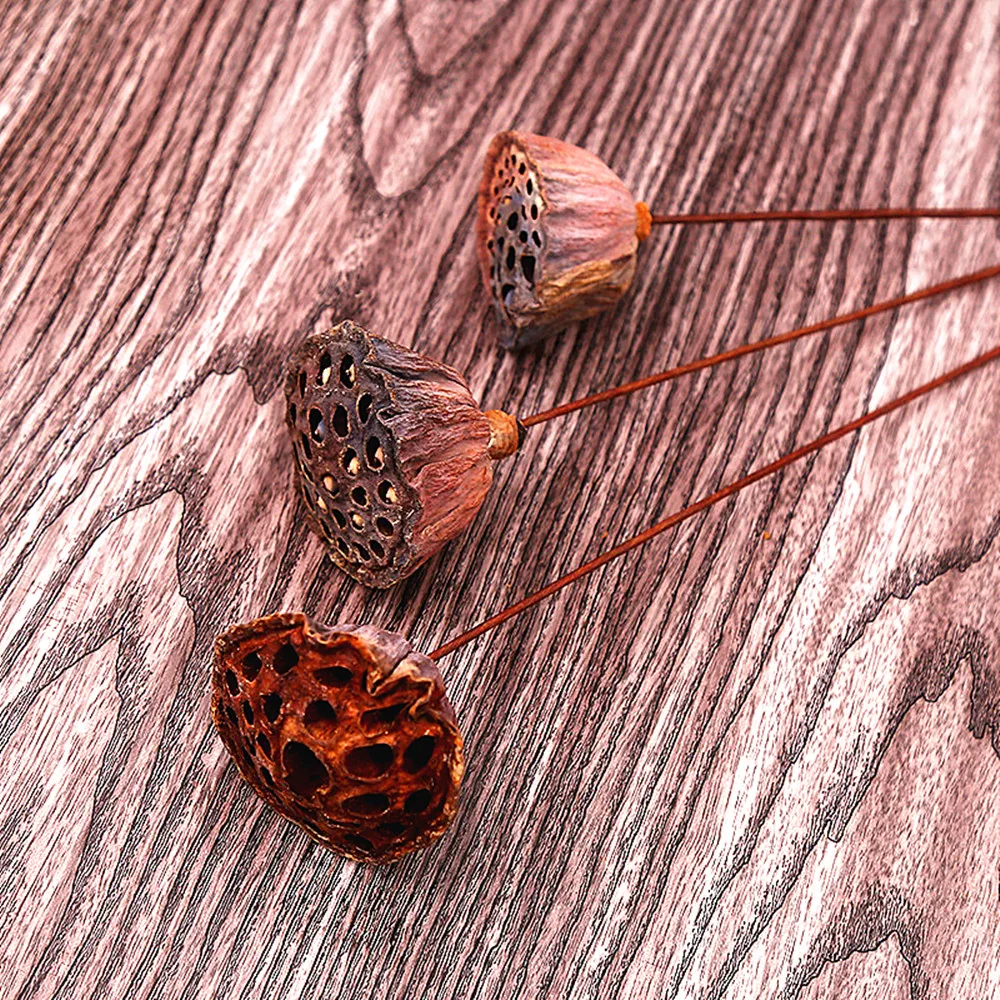 

Большой капсула лотоса, Натуральные сушеные цветы, букет для сельского хозяйства, Осенние ветки для растений, цветочные украшения для гостиной, 1 шт.